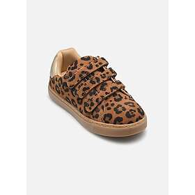 Bonton BASIL NS (Jr)