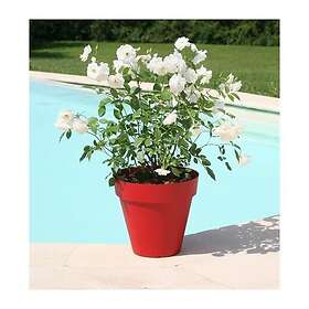 Riviera Soleilla Ø60cm