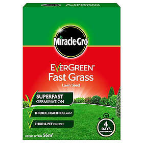 Miracle-Gro Ever Green Fast Grass Lawn Seed 1.6kg