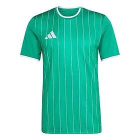 Adidas Entrada 26 Graphic Short Sleeve T-shirt (Men's)
