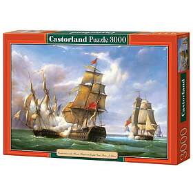 Castorland Sjökamp 3000 Delar