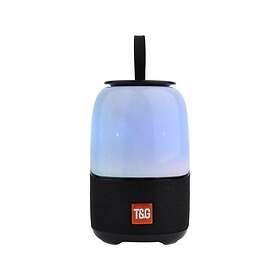 T&G TG608 Bluetooth-högtalare
