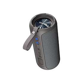 Canyon CNE-CBTSP15BG Enceinte Bluetooth