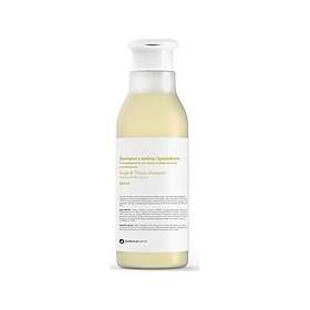Botanicapharma Sage & Thyme Hilse Shampoo Rasvoittuville Hiuksille 250ml