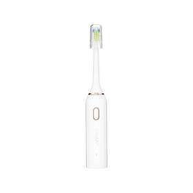 Vitammy Vivo