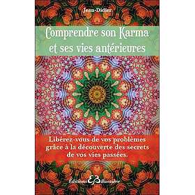 Comprendre son Karma et ses vies antérieures (Broché)