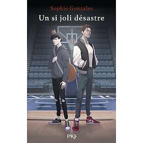 Un si joli désastre (Broché)