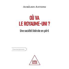 Le Royaume-Uni, une société libérale en péril Une société libérale en crise (Broché)