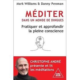 Méditer dans un monde de dingues Pratiquer et approfondir la pleine conscience (Broché)