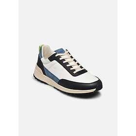 Clae Baskets Chino (Homme)