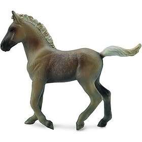 Collecta Rocky Mountain Varsa COLL0509