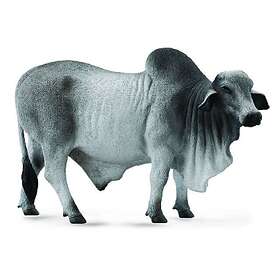 Collecta Brahman Härkä