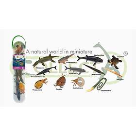 Collecta Box Of Mini Prehistoric Marine Animals