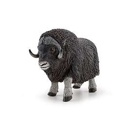 Papo Bœuf Musqué Figurine
