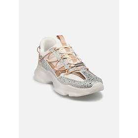 Steve Madden Magneto-R-E (Women's)