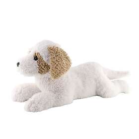 Madej Havanese Koira 60cm (010747)