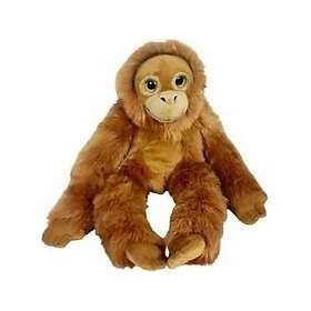 Dubi Big Eyes Orangutan 50cm (4548678010281)