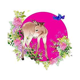 Swarovski Karnet Square Donkey CL2003