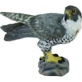 Collecta Falcon Figure (004-88399)