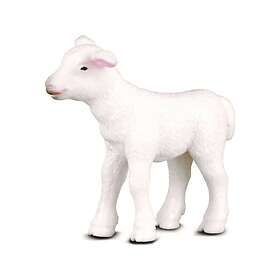 Collecta Standing Lamb (004-88009)