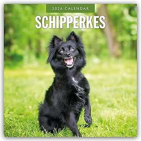 Schipperkes Veggkalender 2026 Firkantet