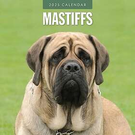 Mastiffs Veggkalender 2025