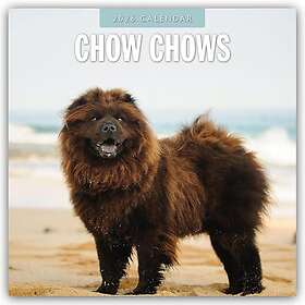 Chow Veggkalender 2026