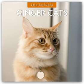 Ginger & Co Ginger Cats Veggkalender 2026