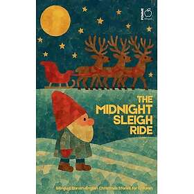 LEGO The Midnight Sleigh Ride Julgransprydnad