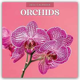 Orchids 2026 Square Wall Calendar