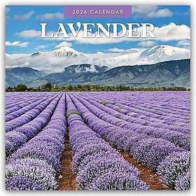 Norfolk Lavender 2026 Square Wall Calendar