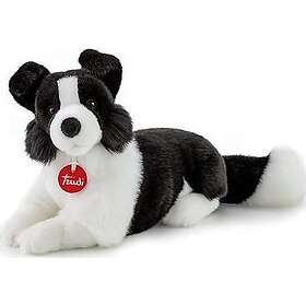 Trudi Border Collie