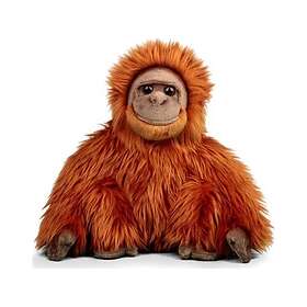 Orangutang 5038728142646