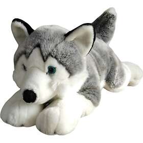 Dubi Husky Liggende Husky Hund 62cm