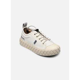 Palladium ACE KIDS LO SUPPLY (Jr)