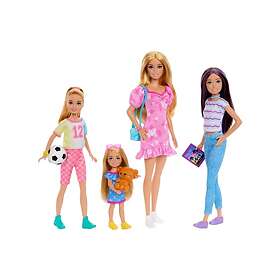 Barbie Sister Doll Set With Clothes Accessories Skipper Stacie Chelsea HWJ01
