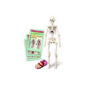Clementoni The Human Body Mini-Set 50824