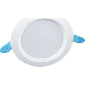 Thorn THORNeco AMY (220mm)