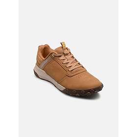 Caterpillar HEX READY LOW (Homme)