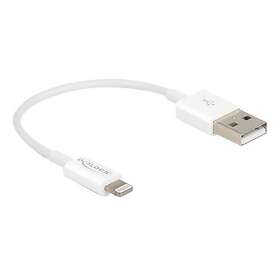 DeLock 83001 USB-A Lightning 15 cm