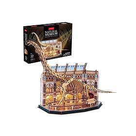 Dante Natural Museum Brachiosaurus 3D Palapeli