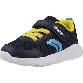Geox Sprintye Low (Jr)