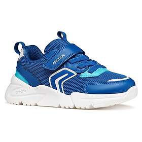 Geox Loftus Low J (Jr)