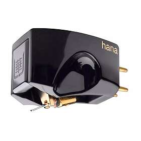 Hana Umami Black