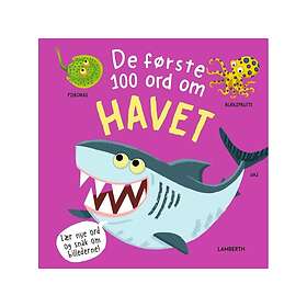 De Første 100 Ord Om Havet