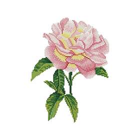 Dante Diamond Dotz Embroidery Pink Rose 35.7X43.7Cm Dd5069