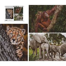 Ambassador Wildlife Families 3X 1000 Brikker