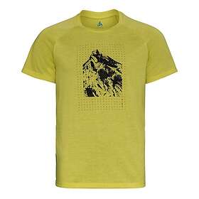 Odlo Halden Print Lyhythihainen T-paita (Miesten)