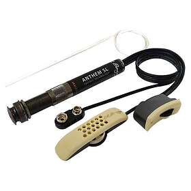 L.R. Baggs Anthem SL "True-Mic" System