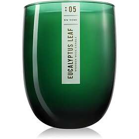 DW Home Eucalyptus Leaf Doftljus 479g